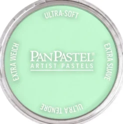 Pastela sucha PanPastel - 640.8 Permanent Green Tint