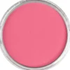 Pastela sucha PanPastel - 340.7 Permanent Red Light
