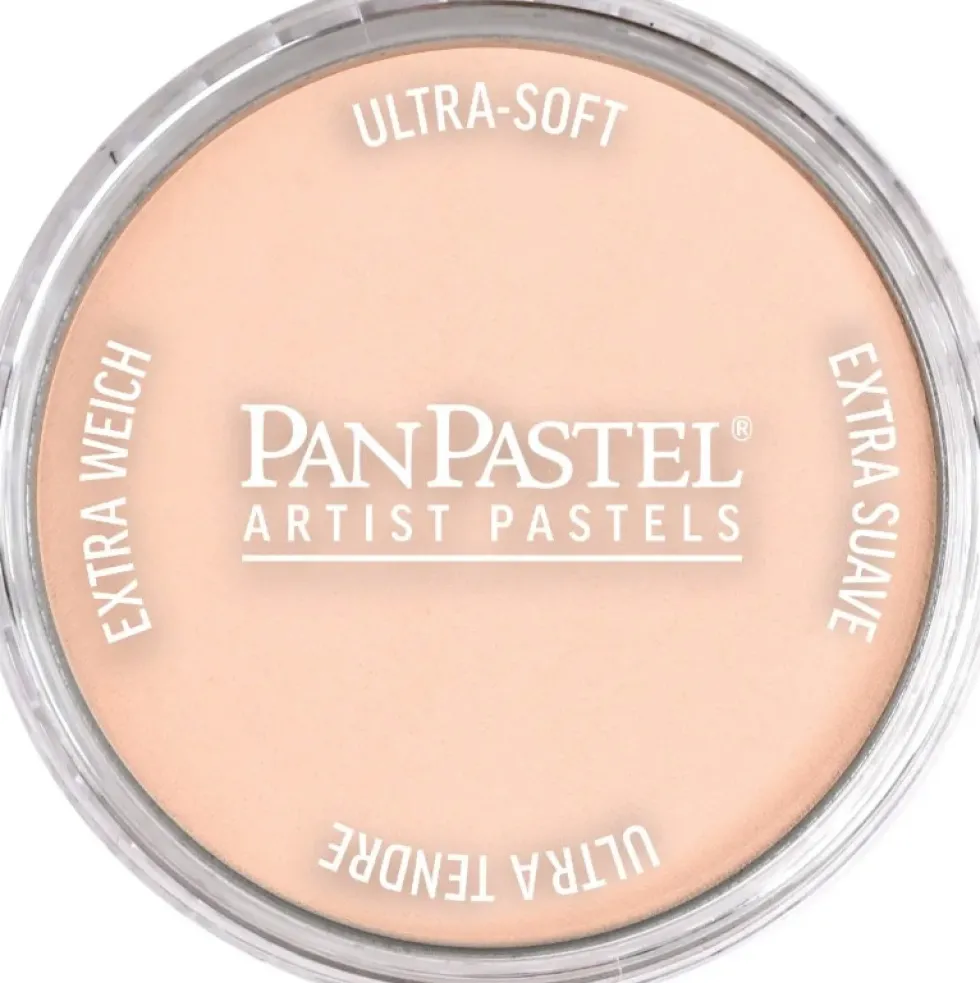 Pastela sucha PanPastel - 380.8 Red Iron Oxide Tint