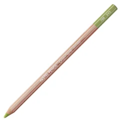 Pastela sucha w kredce Pastel Pencil - Caran d'Ache - 243, Light Olive 20%