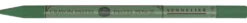 Pastela sucha w kredce Pastel Pencil - Sennelier - 199 Leaf Green