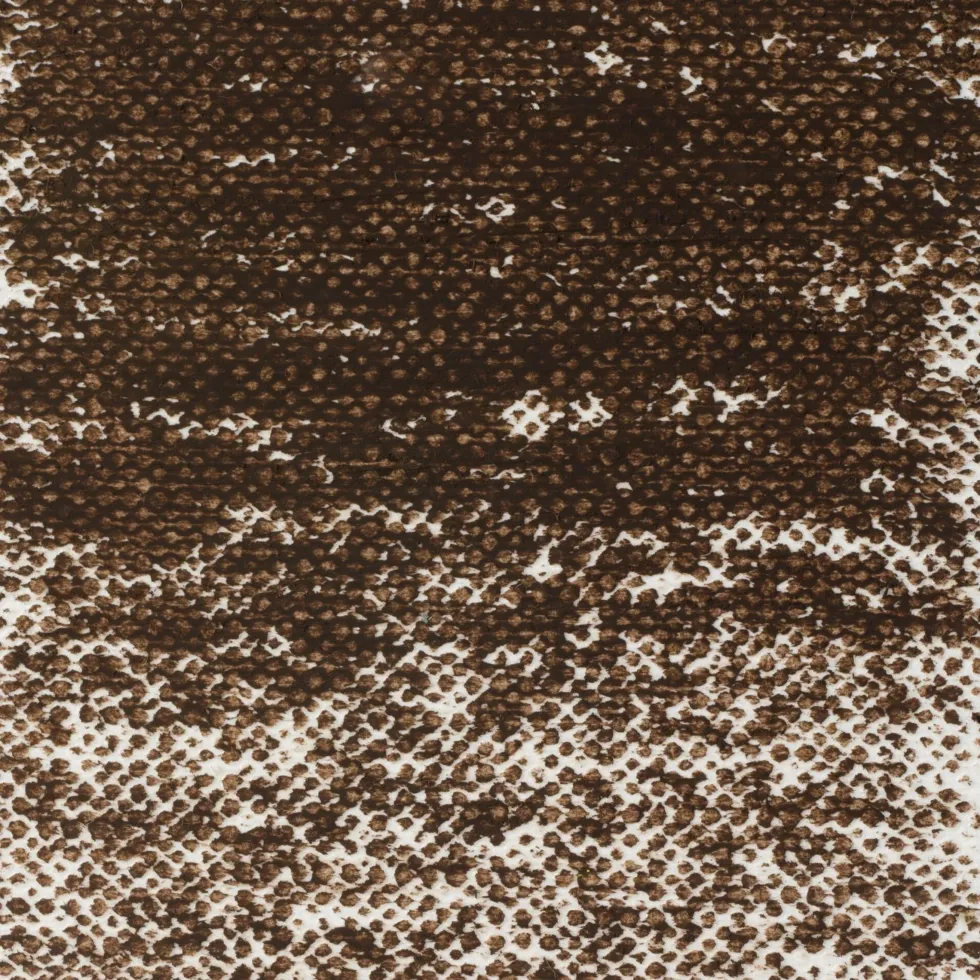 Pastel olejna - Van Gogh - 416.5, Sepia