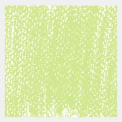 Pastel sucha Soft - Rembrandt - Olive Green 8