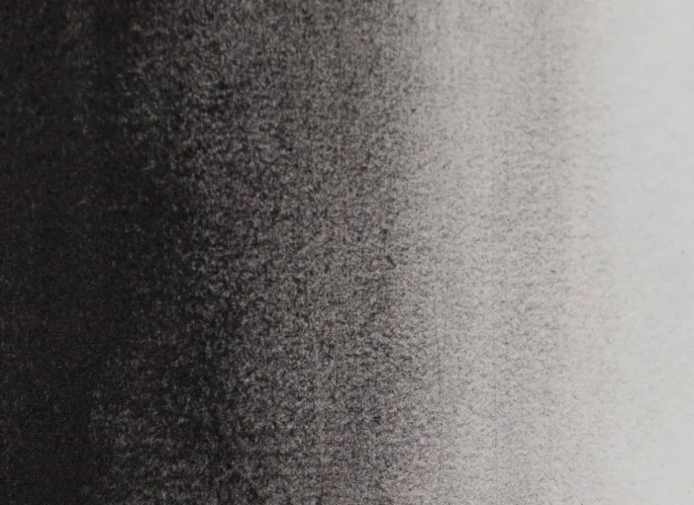 Pigment - Roman Szmal - czerń z winorośli imitacja, 75 g