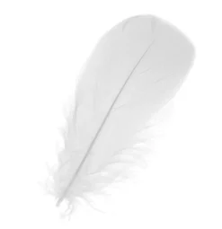 Piórka dekoracyjne, ozdobne - białe, 12 cm, 50 szt.