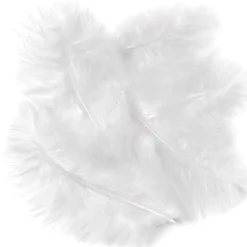 Piórka indycze - DpCraft - białe, 15 cm, 5 szt.