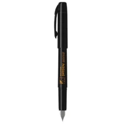 Pióro wieczne Preppy 900 - Platinum - Black EF