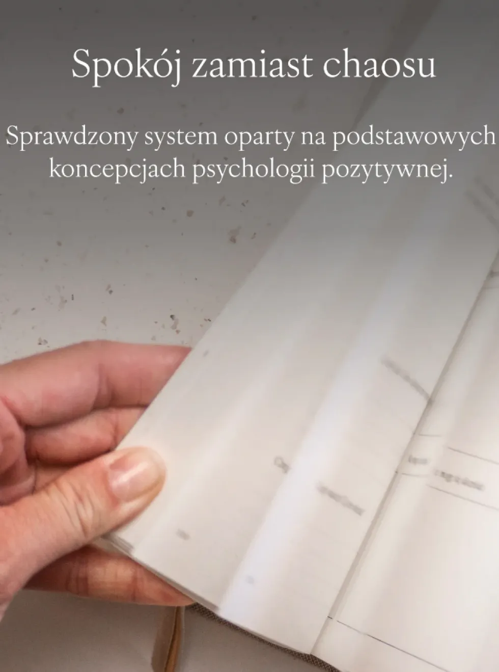 Planer Jaśnie Plan niedatowany - brązowy