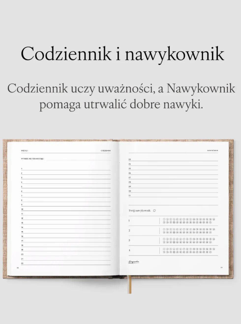 Planer Jaśnie Plan niedatowany - brązowy