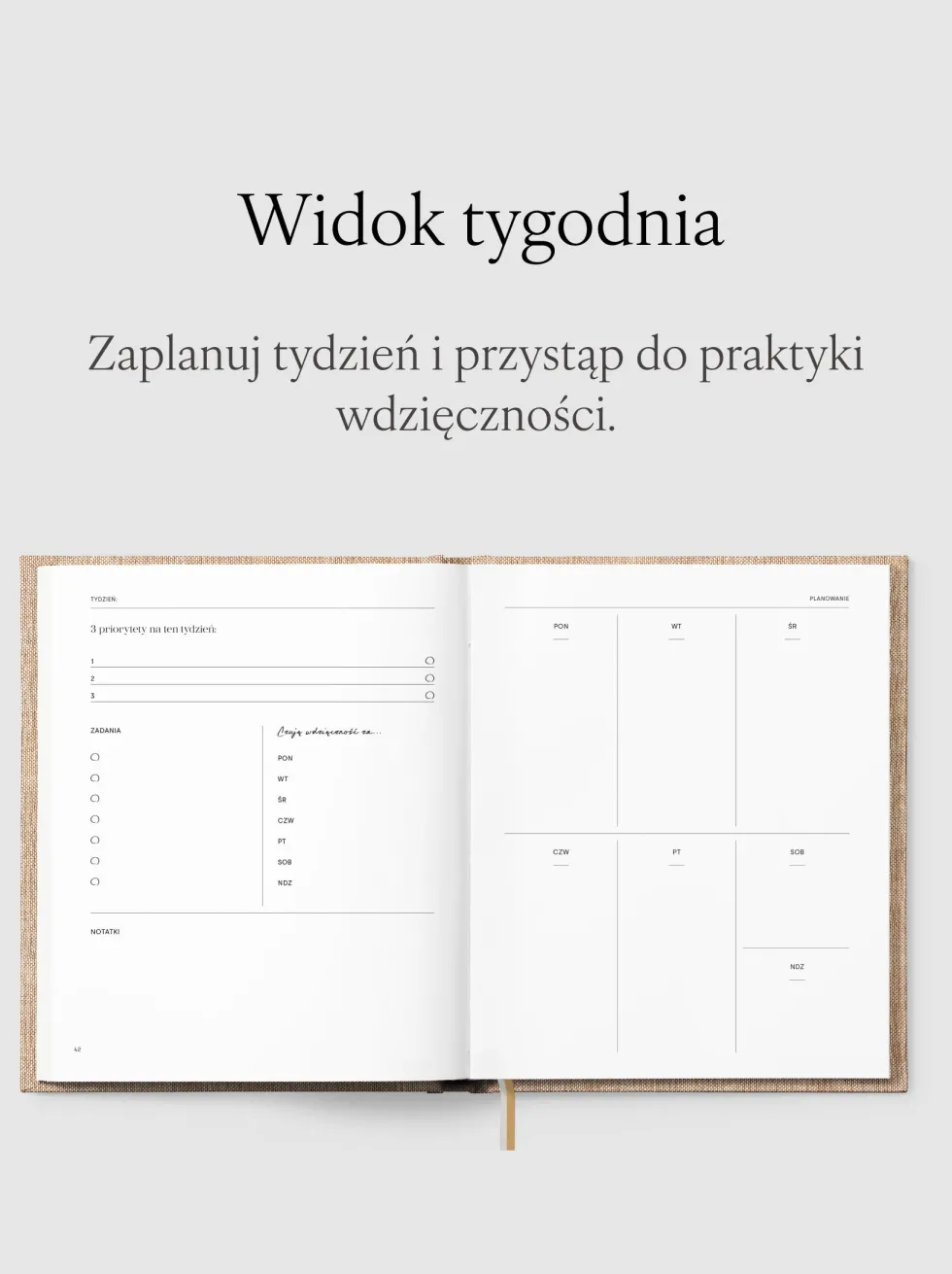 Planer niedatowany - Jaśnie Plan - Baby Sage