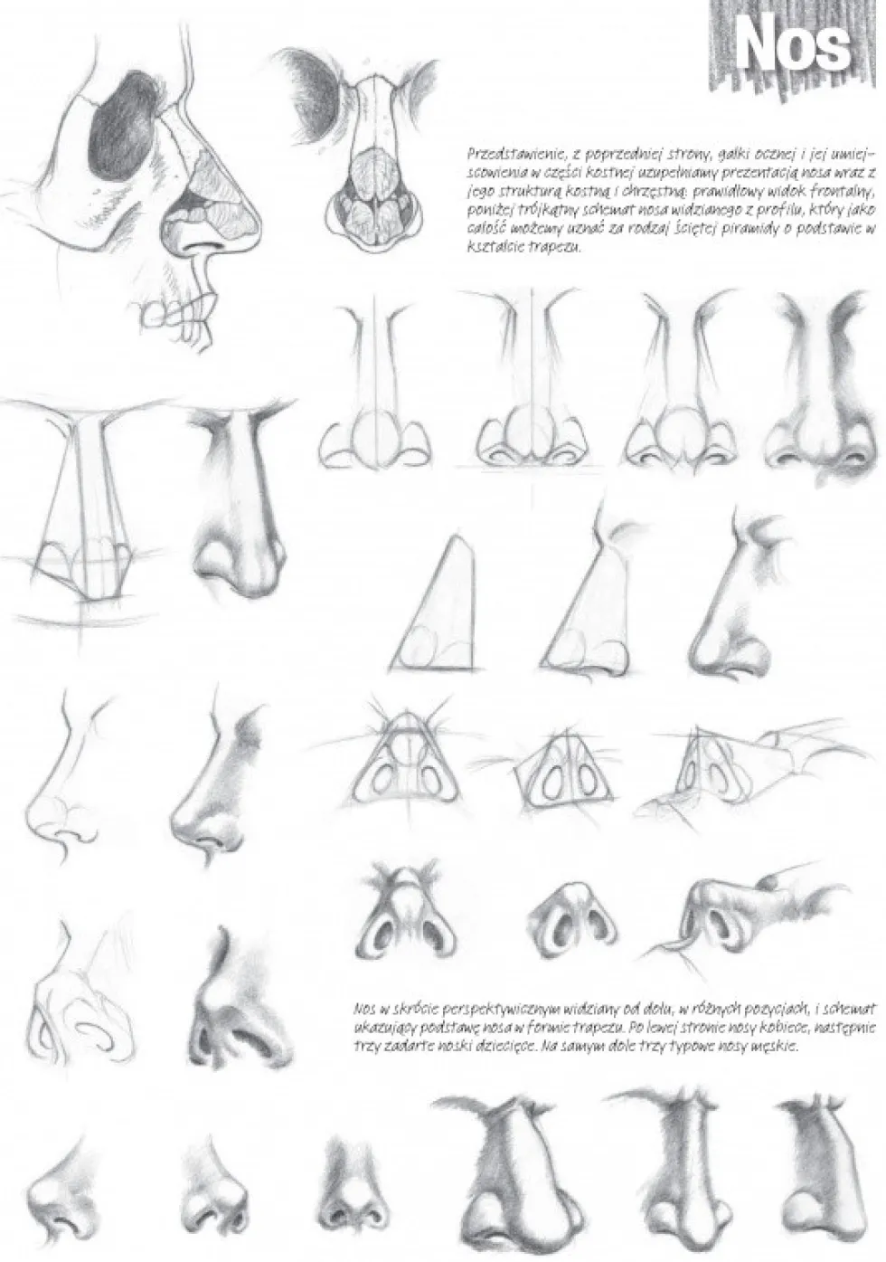 Poradnik Leonardo Compact Series - Koh-I-Noor - Podstawy Rysunku, Tom 3