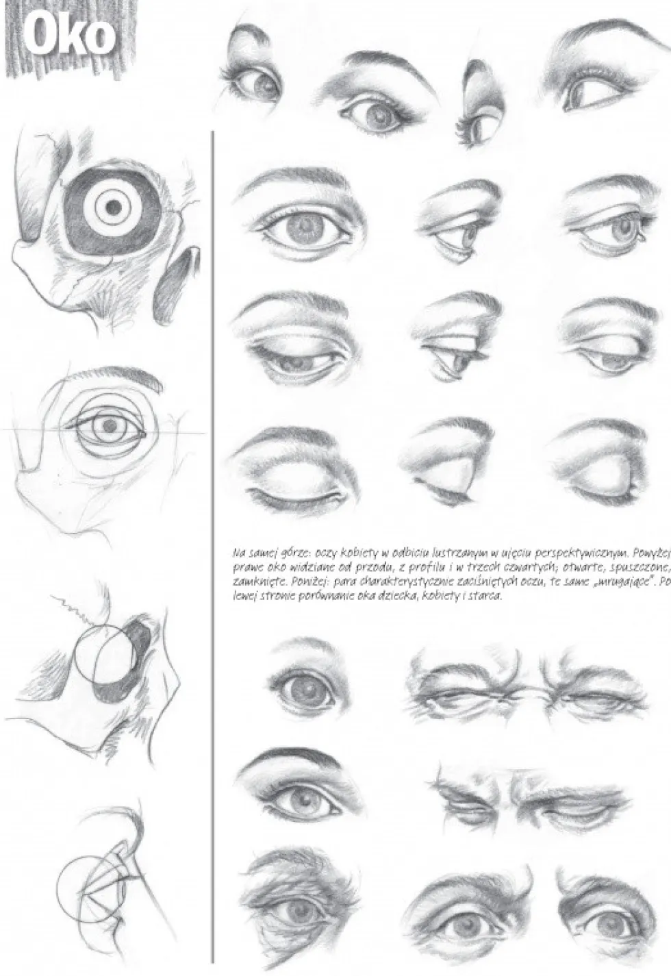 Poradnik Leonardo Compact Series - Koh-I-Noor - Podstawy Rysunku, Tom 3