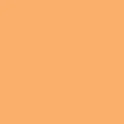 Promarker Brush - Winsor & Newton - Apricot