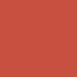 Promarker Brush - Winsor & Newton - Burnt Orange