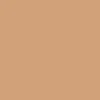 Promarker Brush - Winsor & Newton - Cinnamon