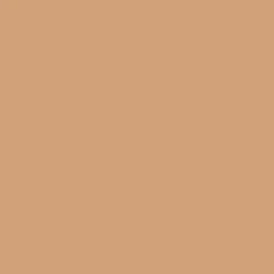 Promarker Brush - Winsor & Newton - Cinnamon
