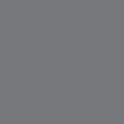 Promarker Brush - Winsor & Newton - Cool Grey 2