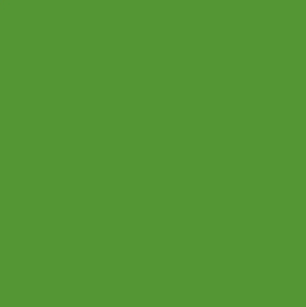 Promarker Brush - Winsor & Newton - Forest Green