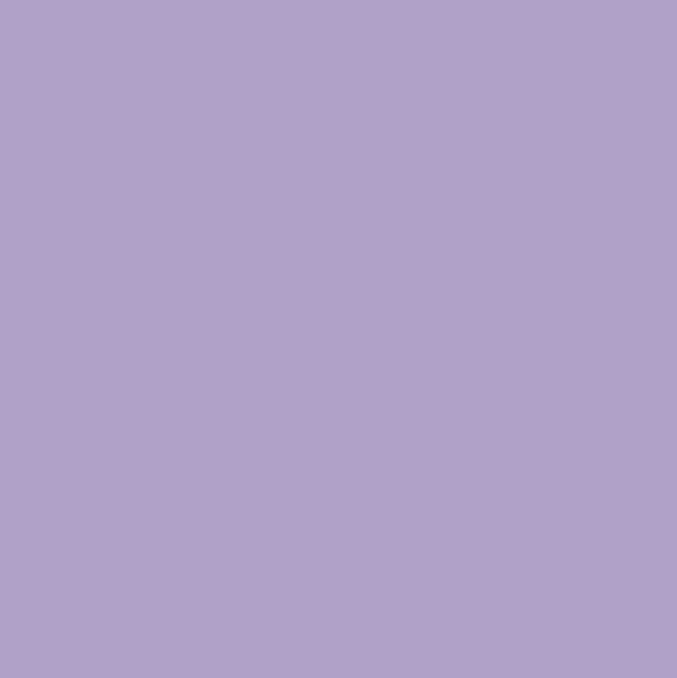 Promarker Brush - Winsor & Newton - Lilac