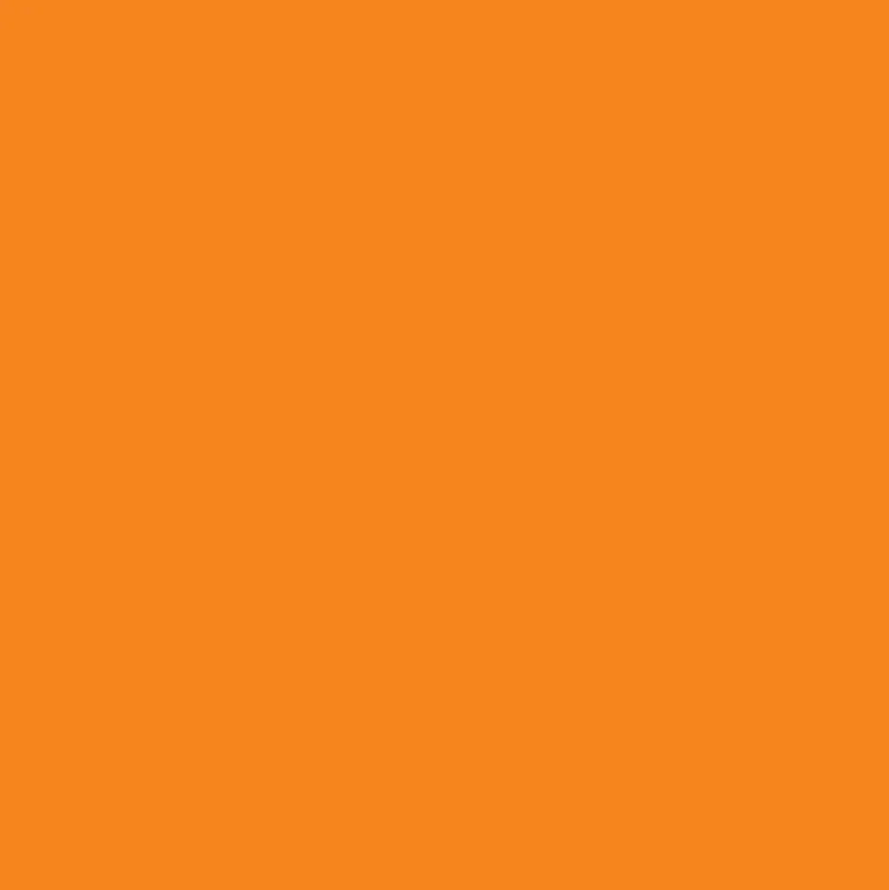 Promarker Brush - Winsor & Newton - Pumpkin