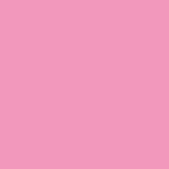 Promarker Brush - Winsor & Newton - Rose Pink