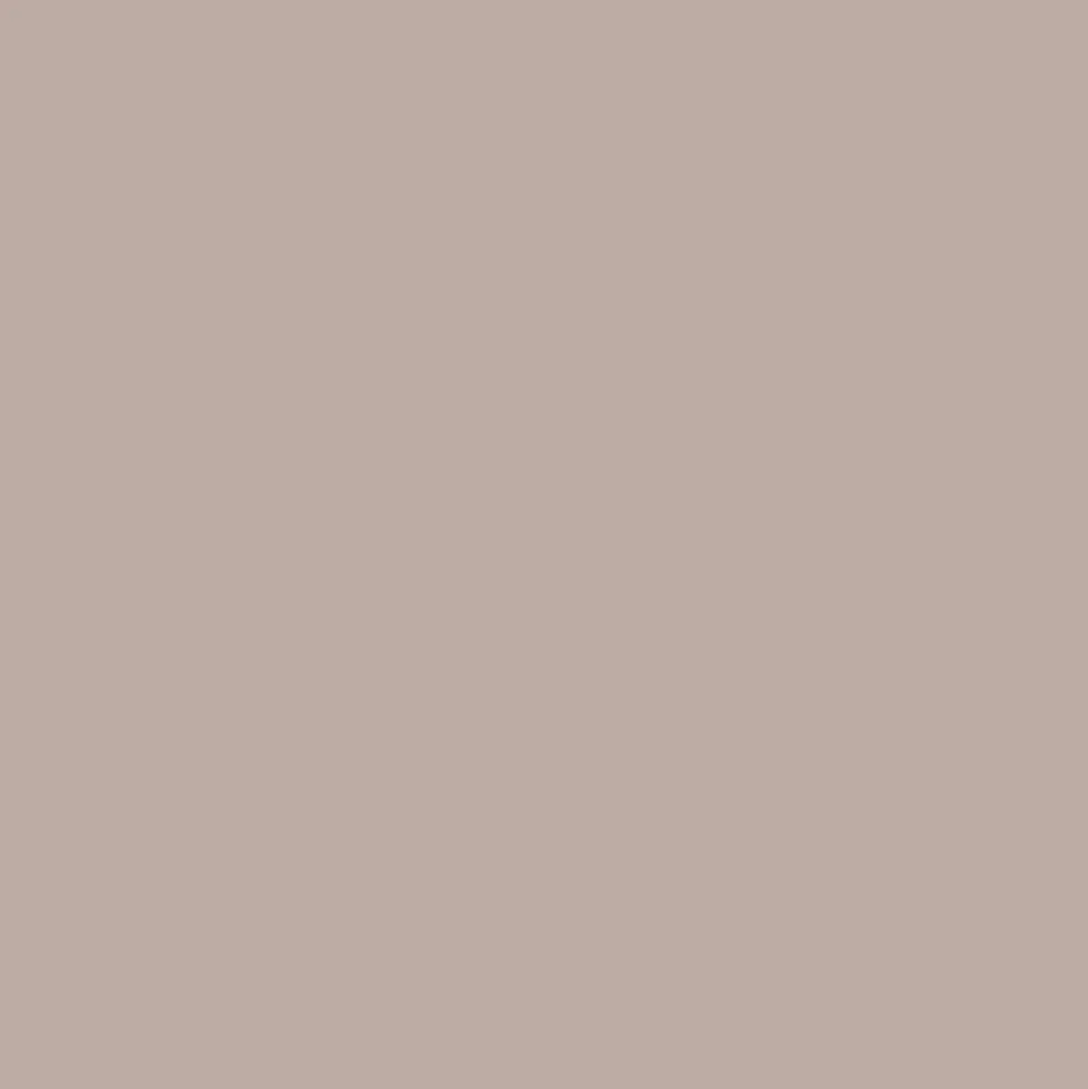 Promarker Brush - Winsor & Newton - Warm Grey 2