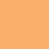 Promarker - Winsor & Newton - Apricot
