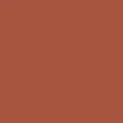 Promarker - Winsor & Newton - Burnt Umber
