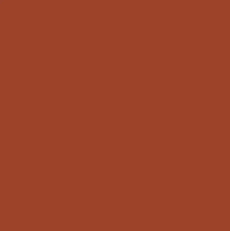 Promarker - Winsor & Newton - Cedar Brown