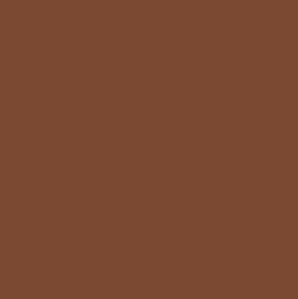 Promarker - Winsor & Newton - Chocolate