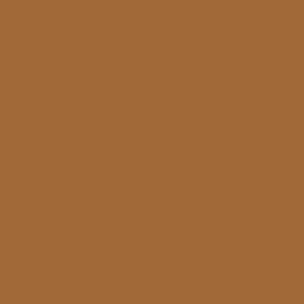 Promarker - Winsor & Newton - Hazelnut