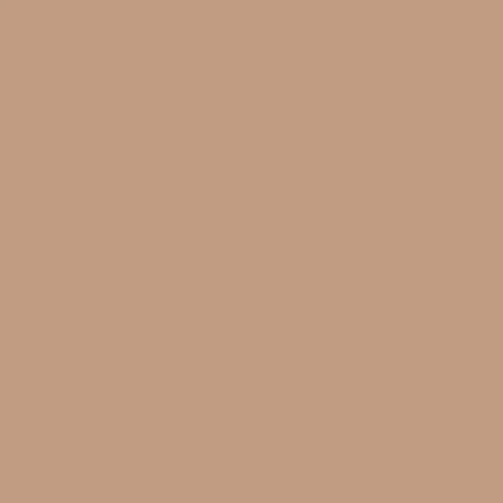 Promarker - Winsor & Newton - Light Pecan