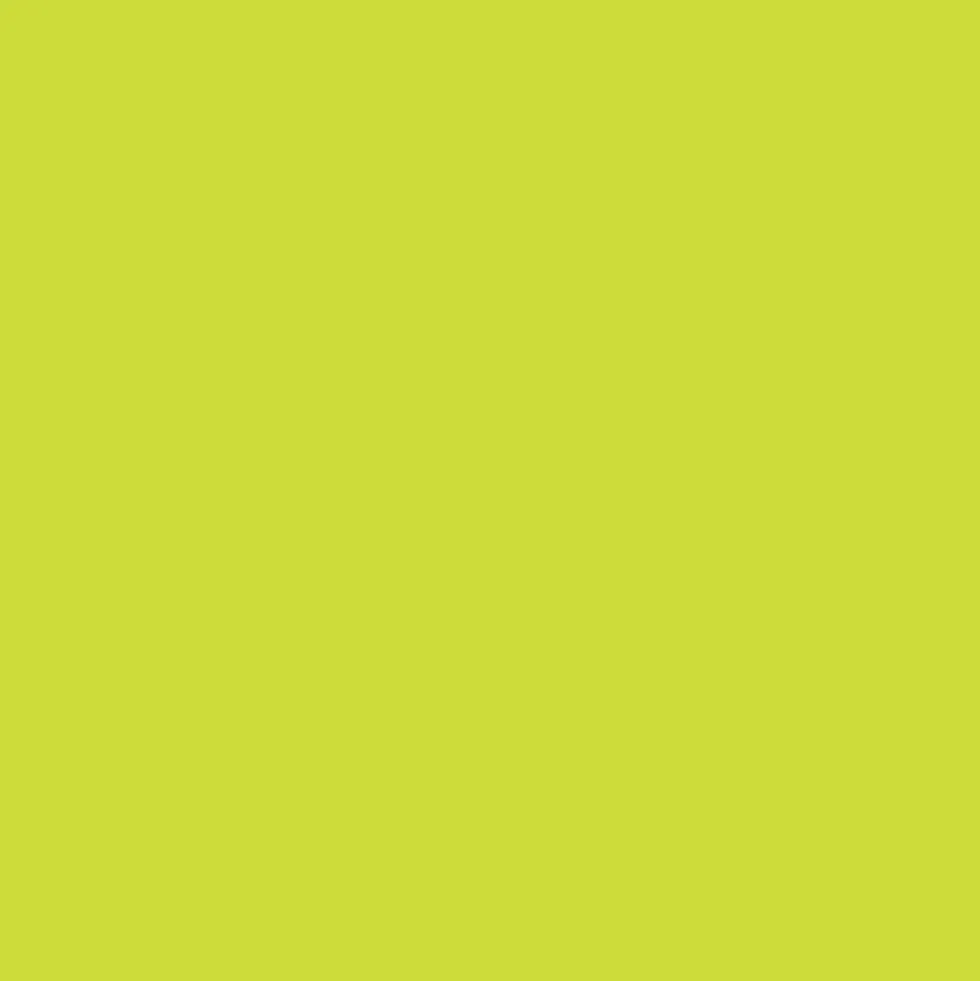 Promarker - Winsor & Newton - Lime Green