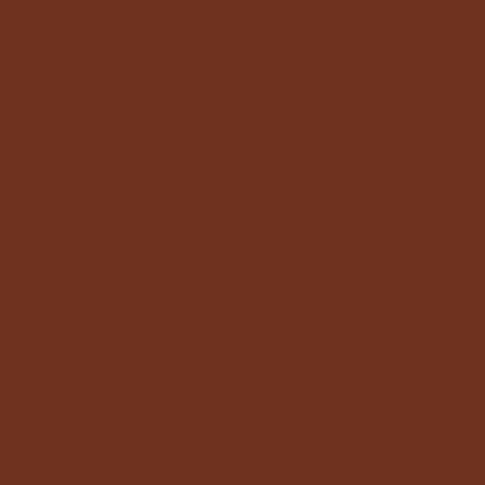 Promarker - Winsor & Newton - Walnut