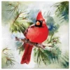 Serwetki ozdobne - Paw - Winter Cardinal, 33 x 33 cm, 20 szt.