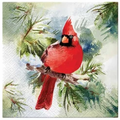 Serwetki ozdobne - Paw - Winter Cardinal, 33 x 33 cm, 20 szt.