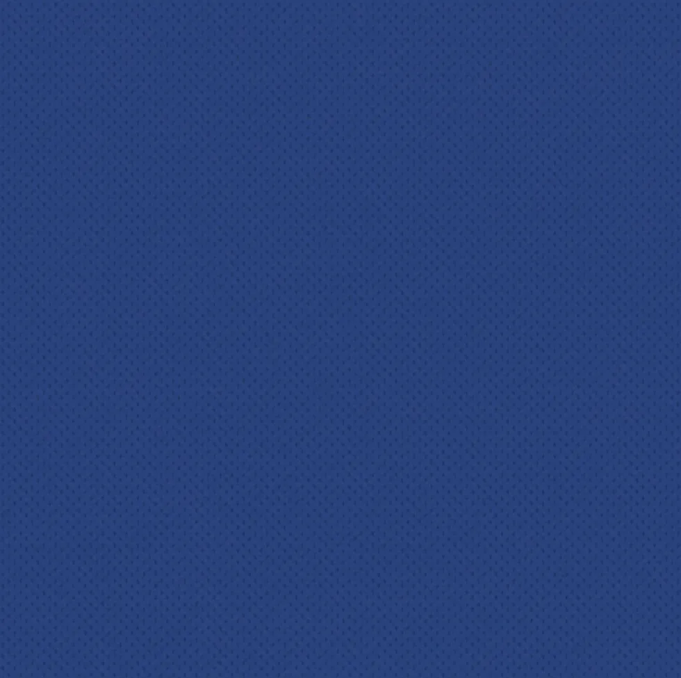 Serwetki ozdobne Softpoint - Paw - Navy Blue, 50 szt.