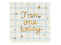 Serwetki papierowe I Am One Today - 16,5 x 16,5 cm, 12 szt.