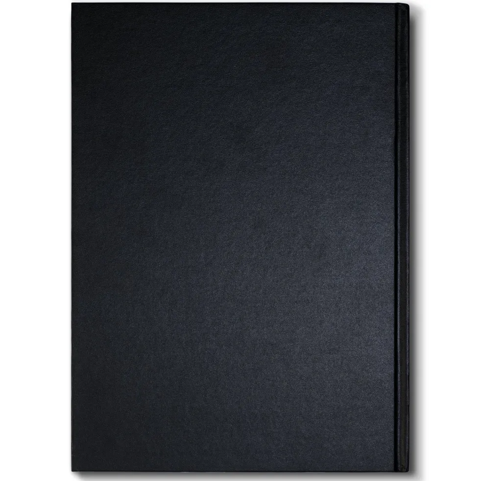Szkicownik Sketch Book - Winsor & Newton - A3, 170g, 50 ark.