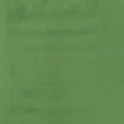Tusz akrylowy - Liquitex - Hooker's Green Hue Permanent, 30 ml