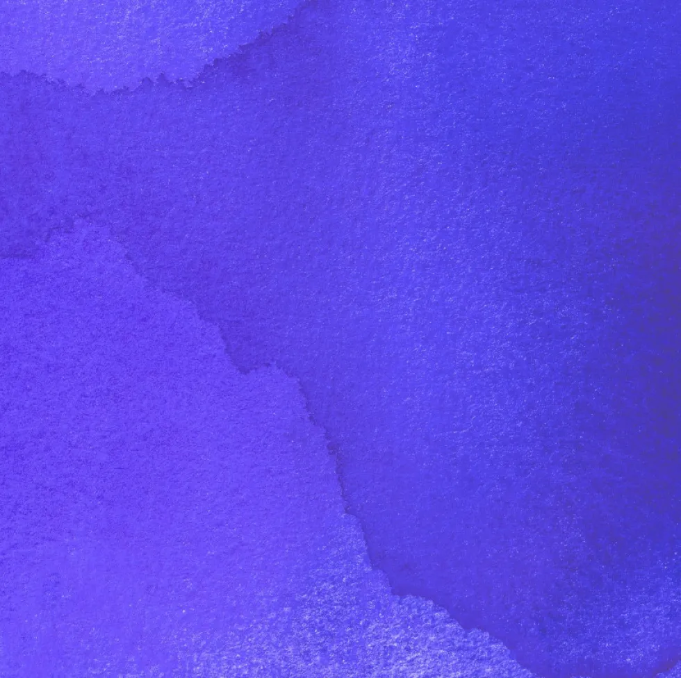 Tusz do kaligrafii India Ink - Speedball - Amethyst 29 ml
