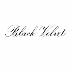 Tusz do kaligrafii India Ink - Speedball - Black Velvet 29 ml