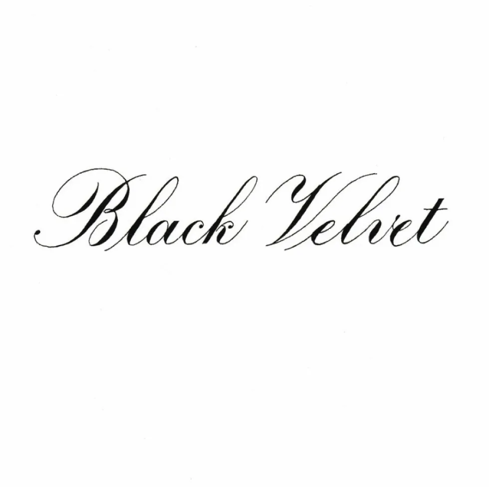Tusz do kaligrafii India Ink - Speedball - Black Velvet 29 ml