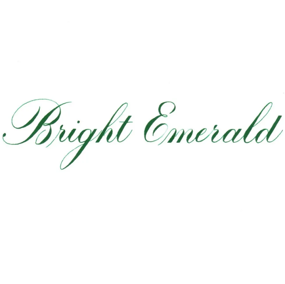 Tusz do kaligrafii India Ink - Speedball - Bright Emerald 29 ml