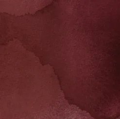 Tusz do kaligrafii India Ink - Speedball - Brown Quartz 29 ml