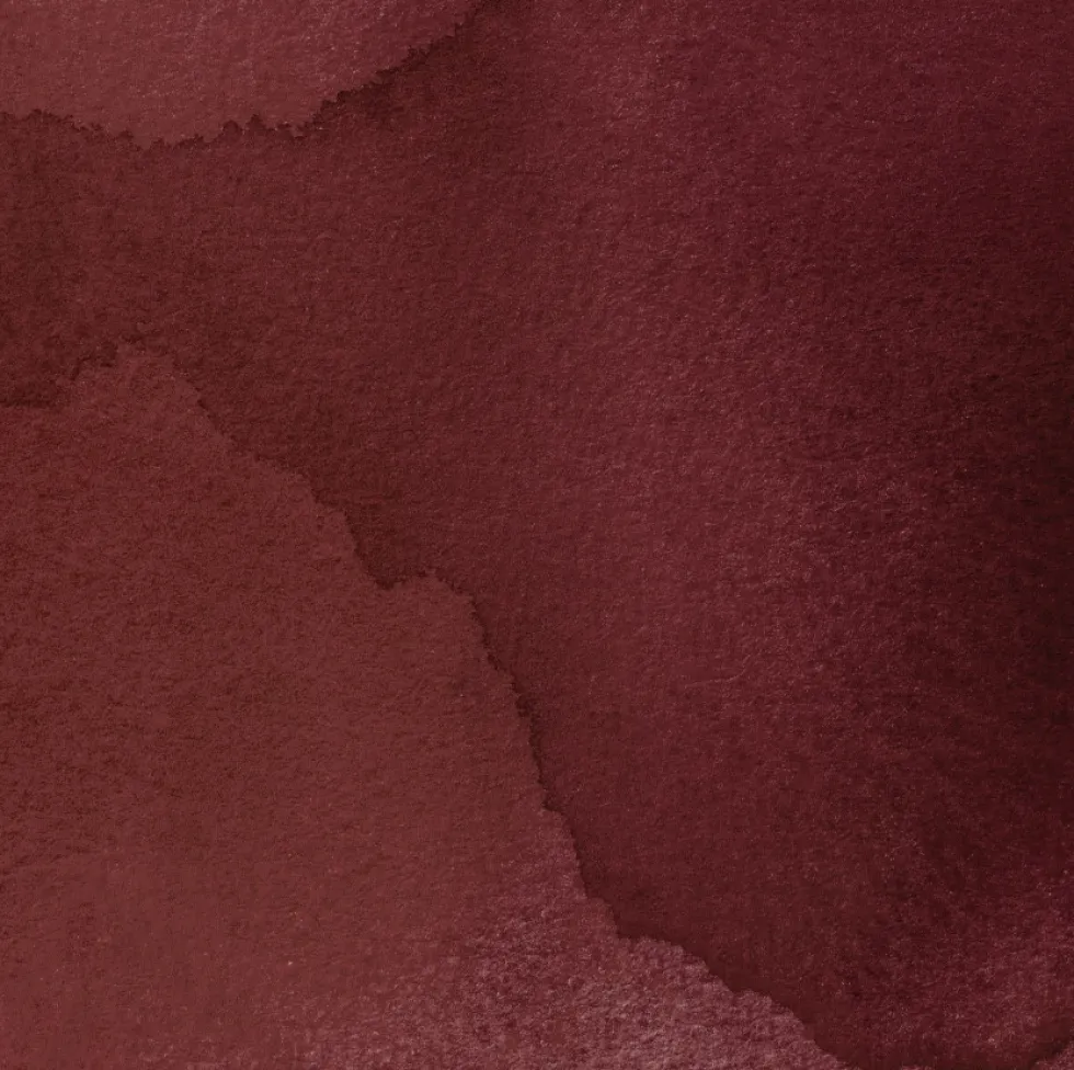 Tusz do kaligrafii India Ink - Speedball - Brown Quartz 29 ml