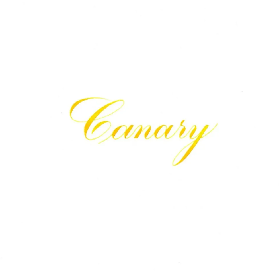 Tusz do kaligrafii India Ink - Speedball - Canary 29 ml