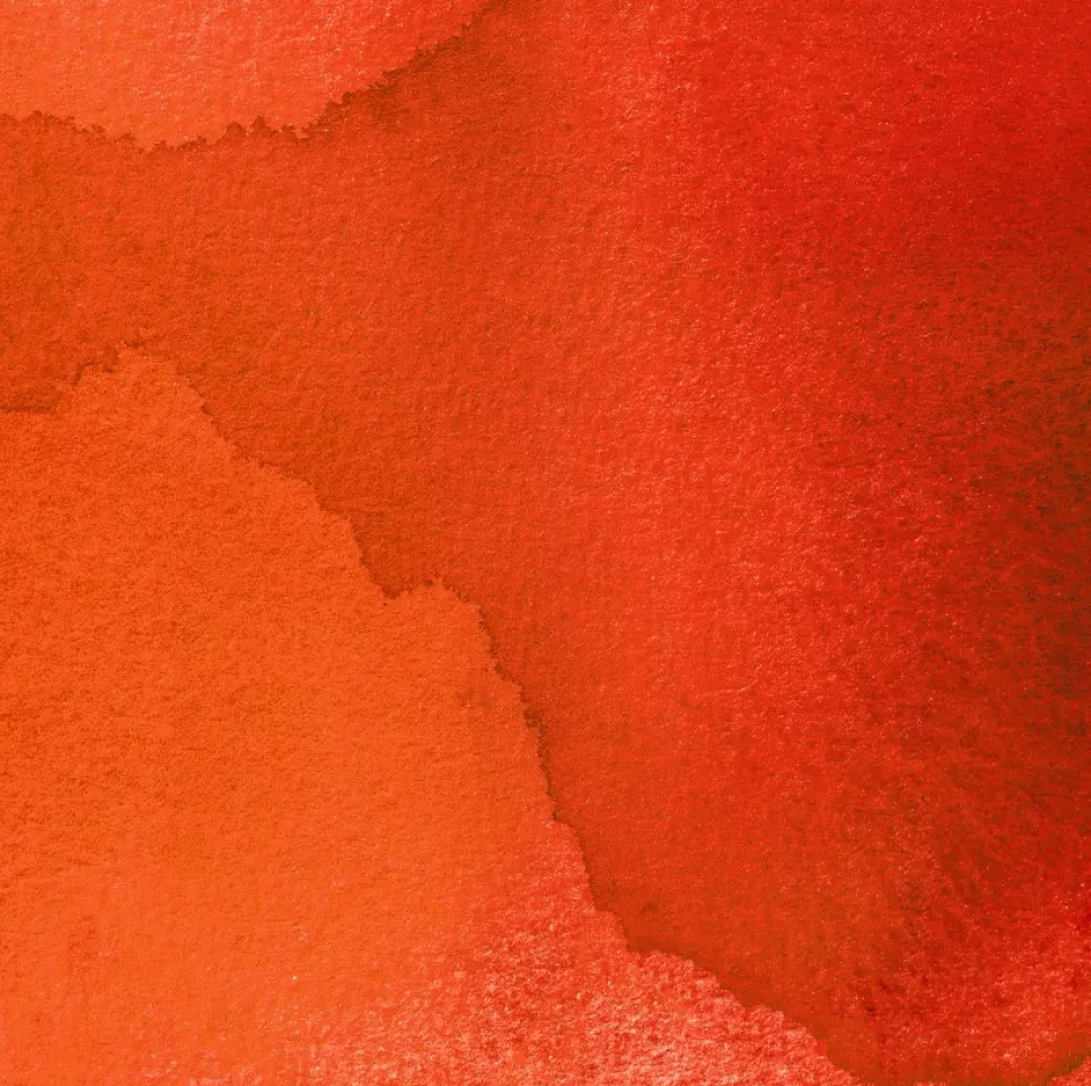 Tusz do kaligrafii India Ink - Speedball - Citrine 29 ml