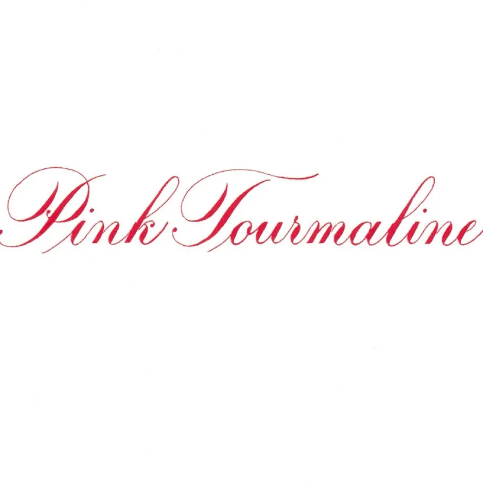 Tusz do kaligrafii India Ink - Speedball - Pink Tourmaline 29 ml
