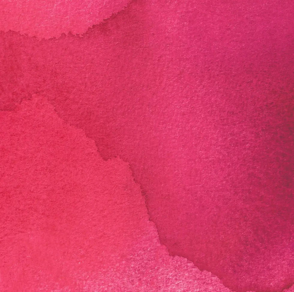 Tusz do kaligrafii India Ink - Speedball - Pink Tourmaline 29 ml